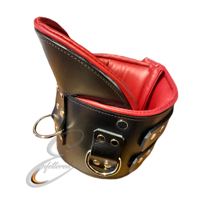 Enfettered Padded Leather POSTURE Collar