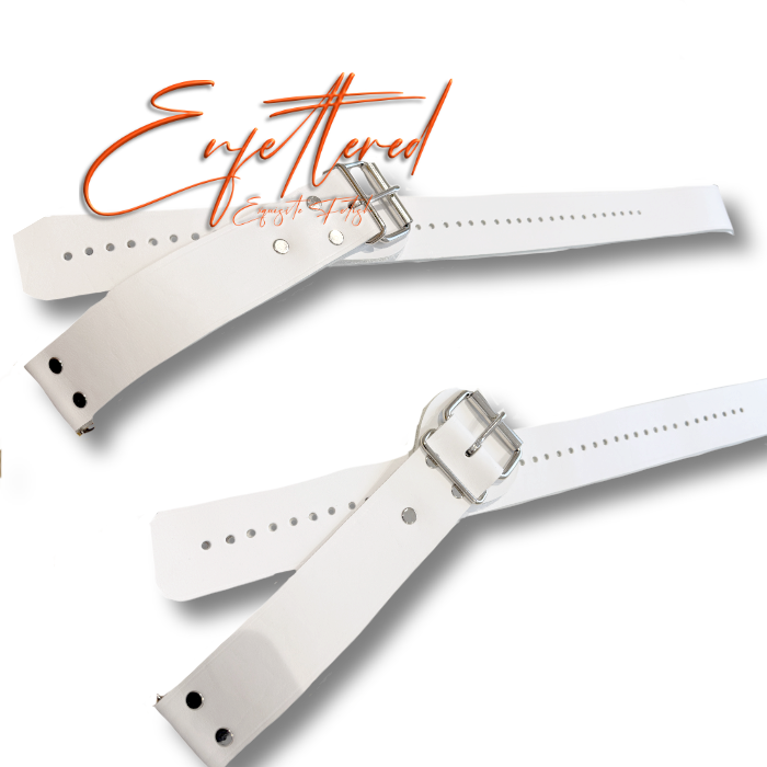 Enfettered Detention Facility Restraints – Pair Bed Straps