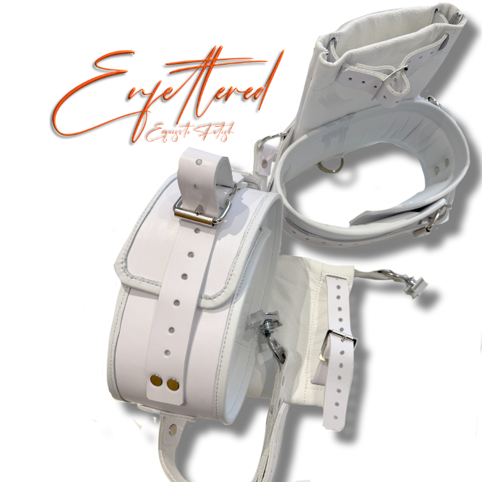 Enfettered Detention Facility Restraints -Thigh to Hand